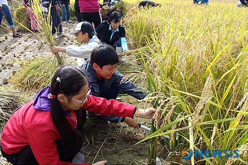 상맹방1리 이미지