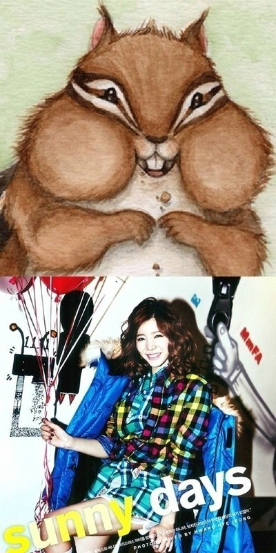 써니문 이미지