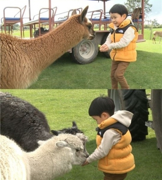 라마 이미지