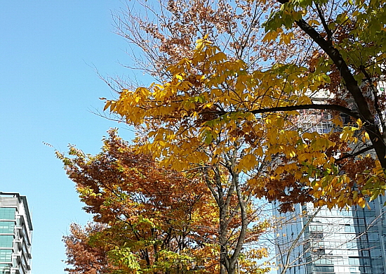 늦은오후 이미지