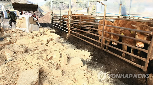 삼성종합축산 이미지