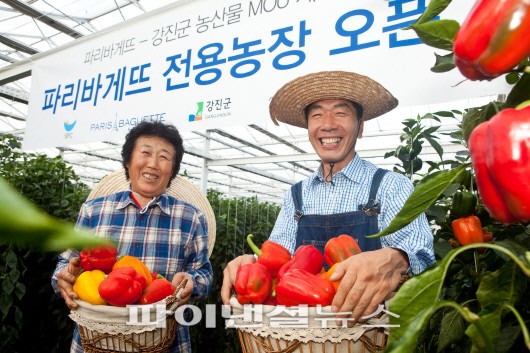 파리바게트전남 이미지