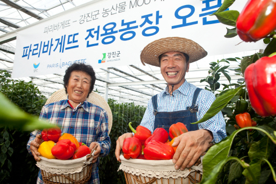 파리바게트전남 이미지