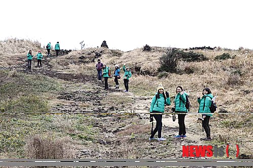 크로커다일제주 이미지