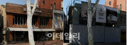 엔제리너스커피 이미지