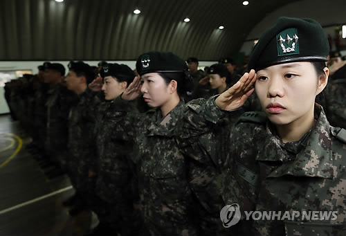 아라우 이미지