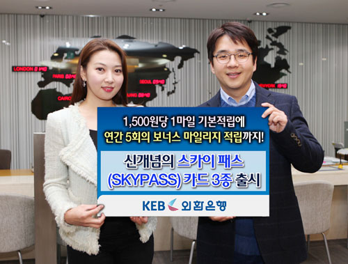 스카이플래티늄항공 이미지