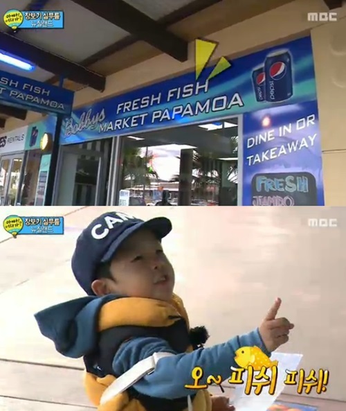 더피쉬 이미지