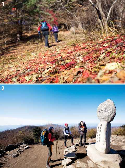 고요한숲 이미지