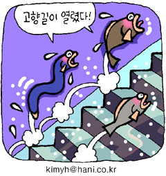 고깃길 이미지