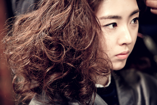 사자코리아 이미지