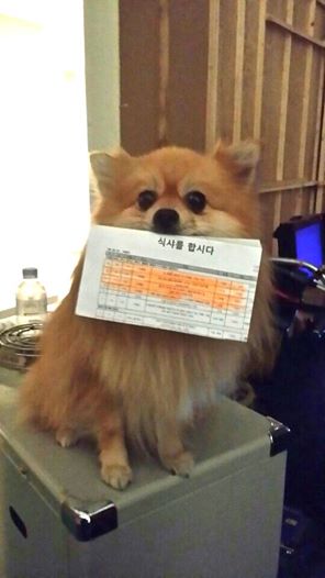 바라 이미지