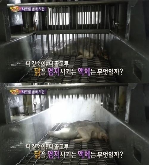 마구치킨 이미지