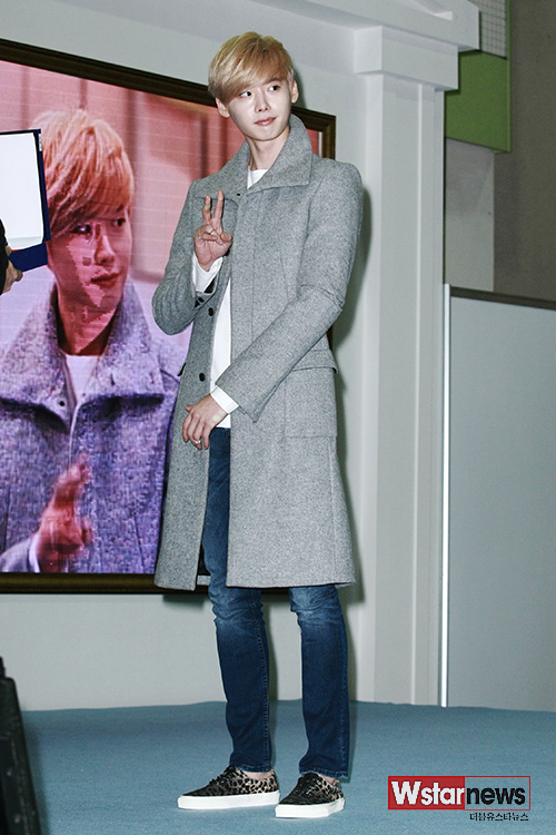 브이 이미지