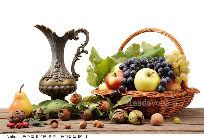 넥타르 이미지