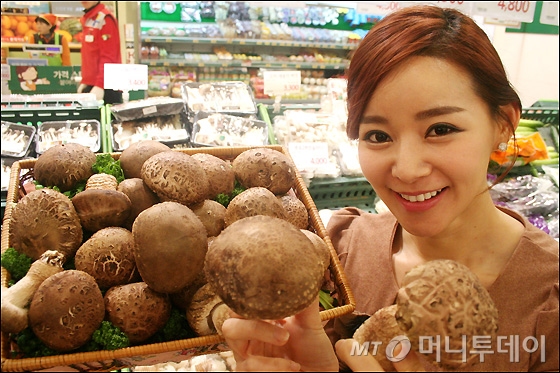 송이패션 이미지