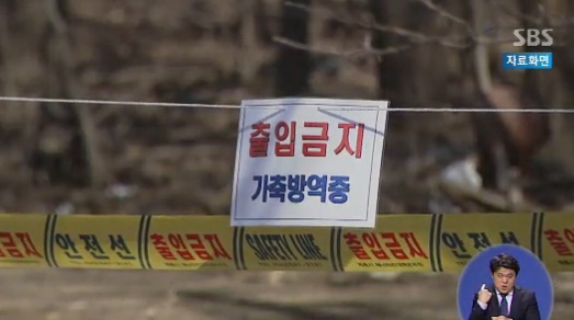 오리한마리 이미지