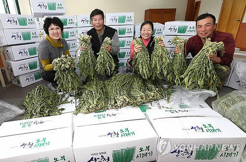 웰빙식품 이미지