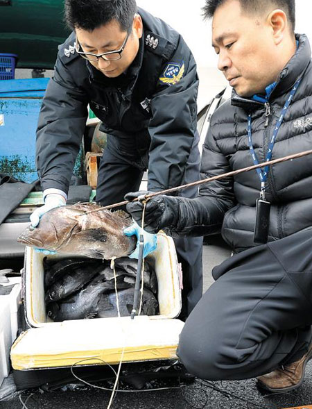 마구잡이수산 이미지