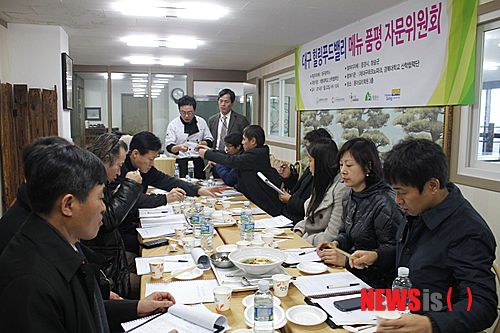힐링푸드벨리 이미지