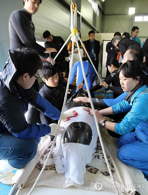 고래안마시술소 이미지