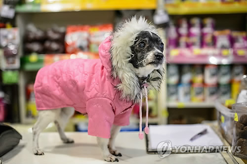 거참 이미지