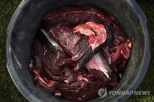 Bucket Meat 이미지