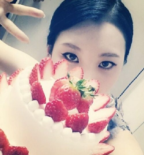 쏠케이크 이미지
