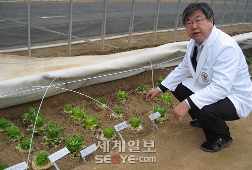 제일농산 이미지