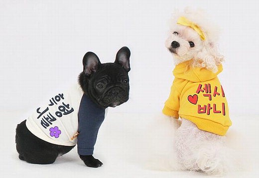 하나의류 이미지