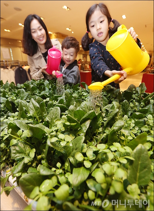 현대그린농장 이미지