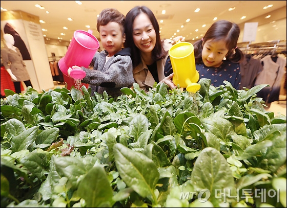 현대그린농장 이미지