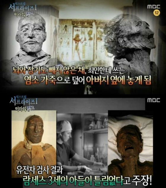 미라 이미지
