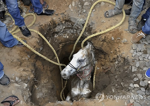 제삿날 이미지