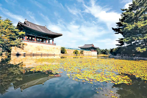 천년렌탈 이미지