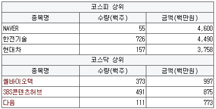 와이디모터스 이미지