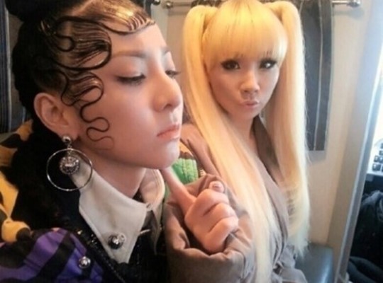 헤어박스타일리스트 이미지