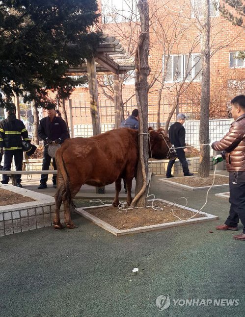외양간 이미지