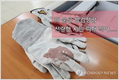 충북청과 이미지