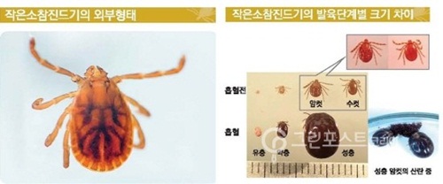 소참 이미지