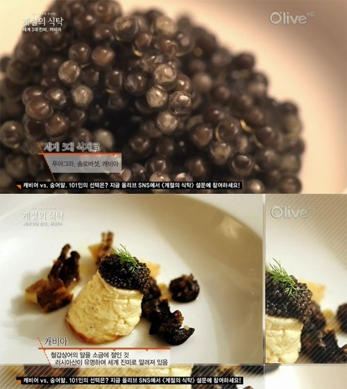 진미 이미지