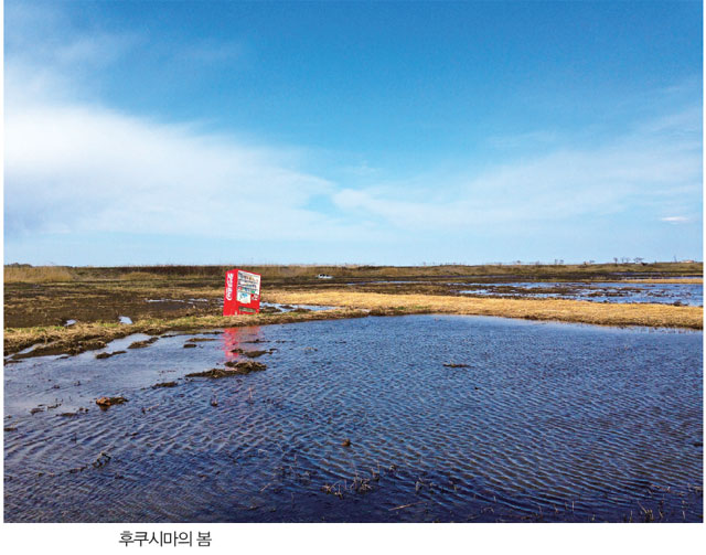 바늘과실 이미지