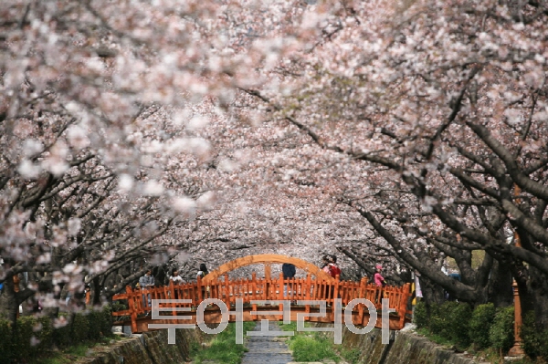 아지랑이 이미지