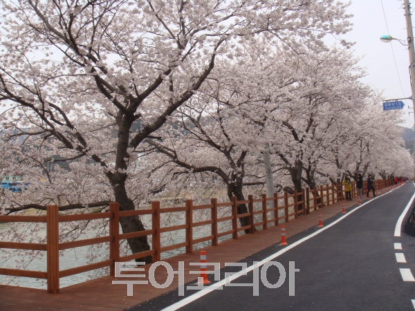 용당시장 이미지