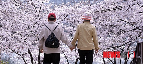 벚꽃사이로 이미지