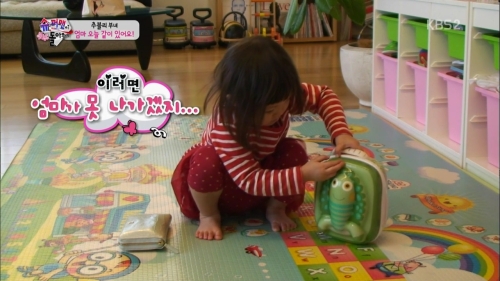 런치박스 이미지