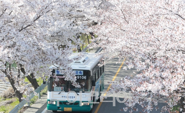 제일원떡방앗간 이미지
