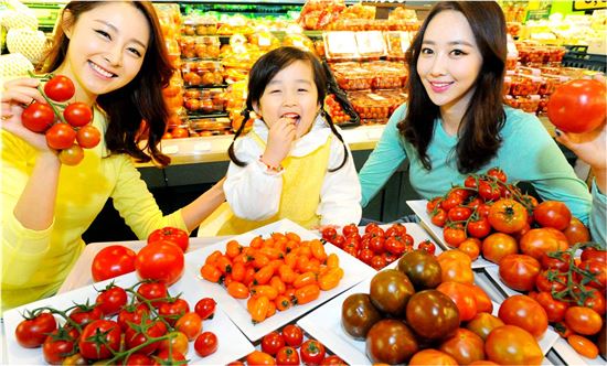 토마토플러스 이미지