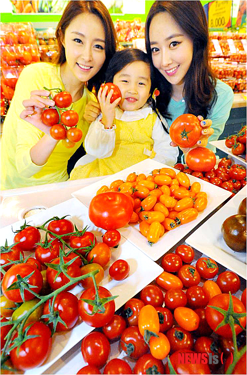 토마토플러스 이미지