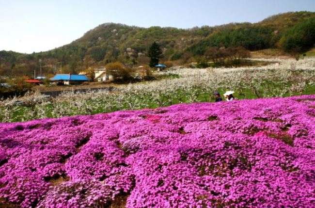 만리축산 이미지
